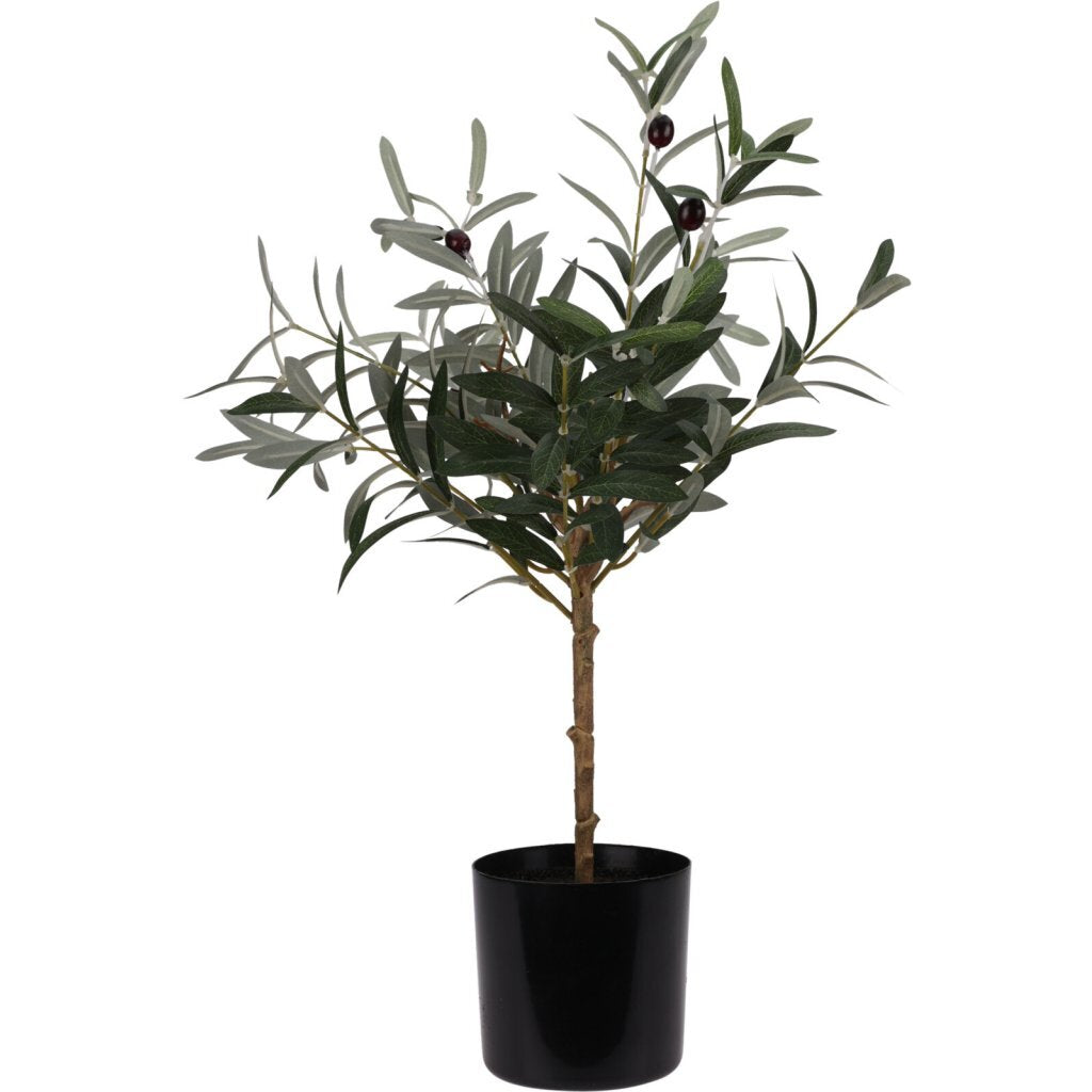 Kunstplant Olijfboom 45x66 cm Groen