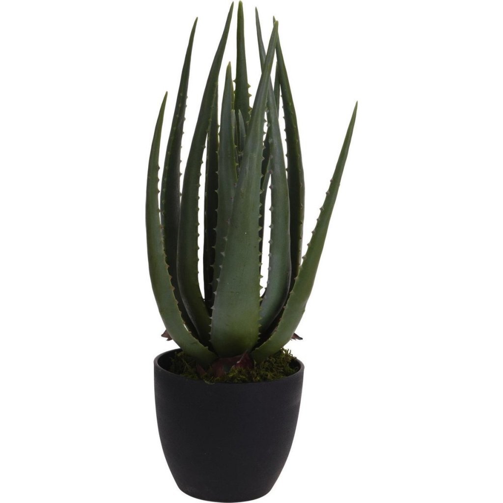 Kunstplant Aloë Vera 25x45 cm Groen