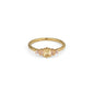 V6H21C516E56769C8477E5204EF29D6F43DR5325679P1