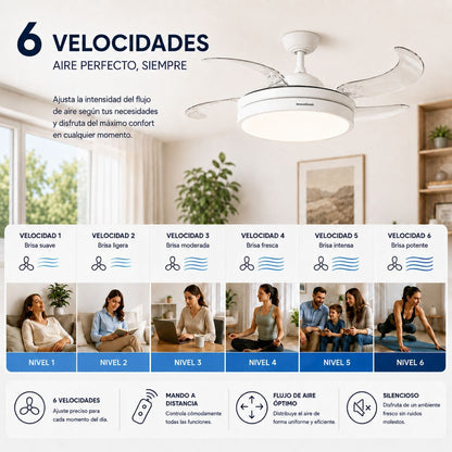 V6H6E2F45C56664B786C3376991CC7196ECR7839288P3